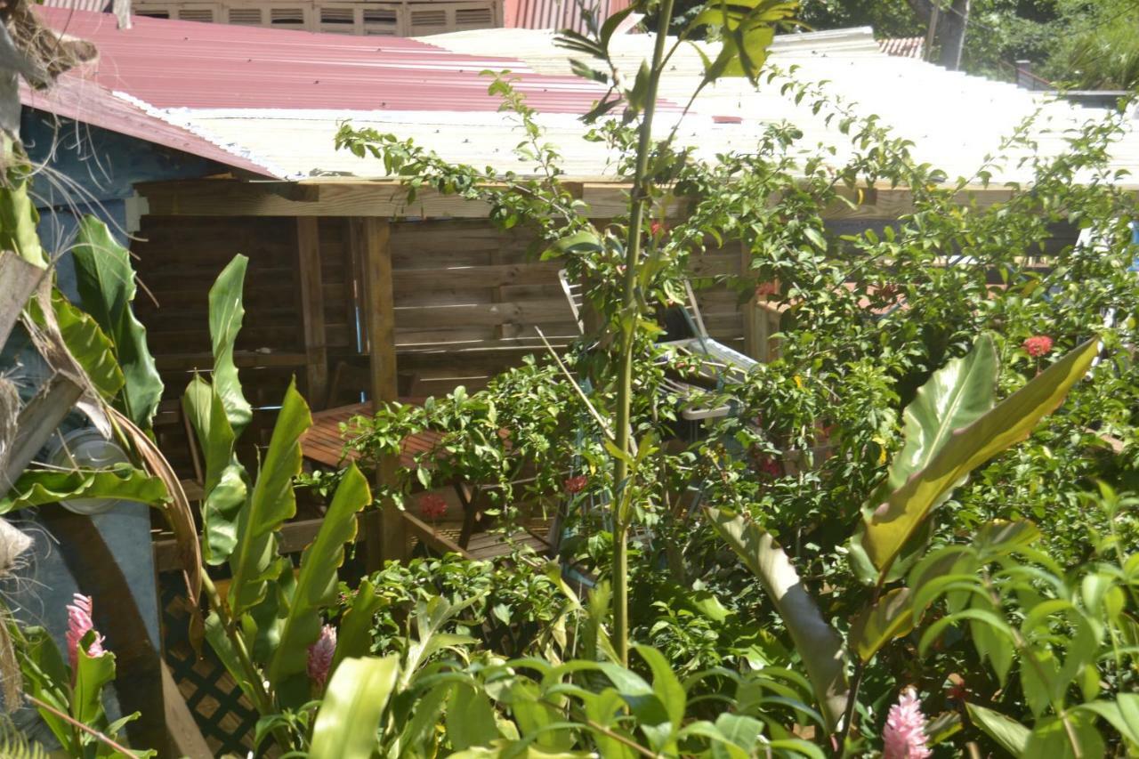 Villa an eol caraibes Trois-Rivières Exterior foto