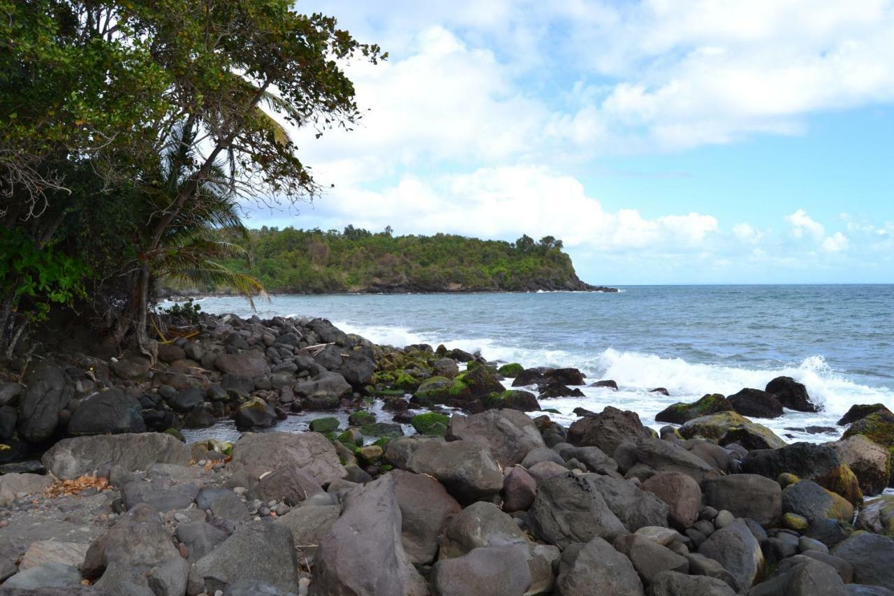 Villa an eol caraibes Trois-Rivières Exterior foto